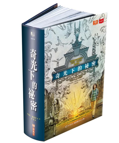 《奇光下的祕密》中文版書封。