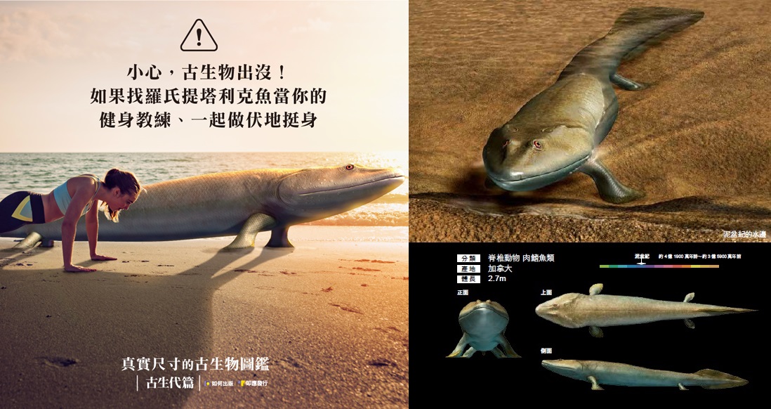 與羅氏提塔利克魚一起伏地挺身。