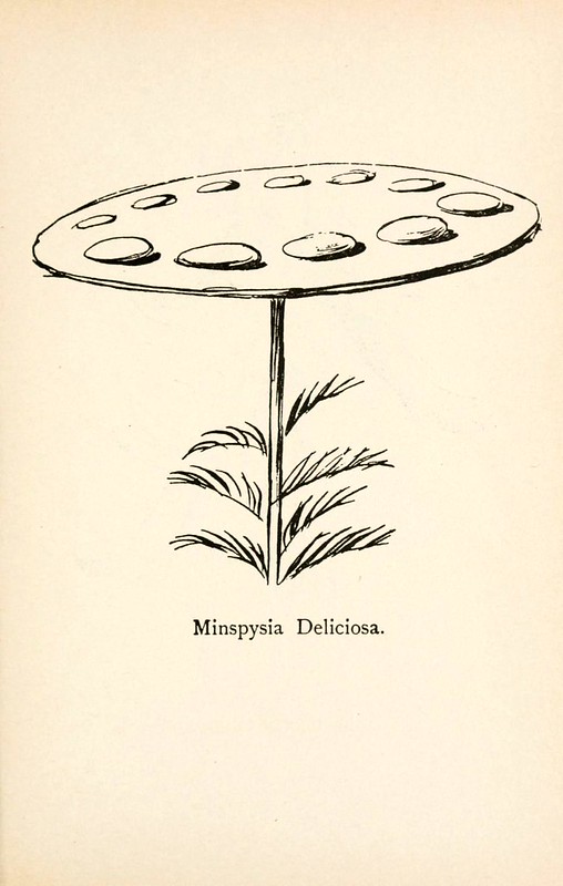 Minspysia Deliciosa。（甜肉餡餅，好ㄘ<--感謝讀者提供翻譯）