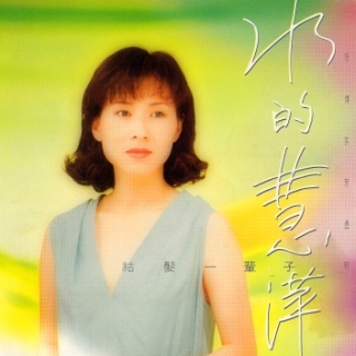 《情難枕》收錄在林慧萍專輯《水的慧萍》。