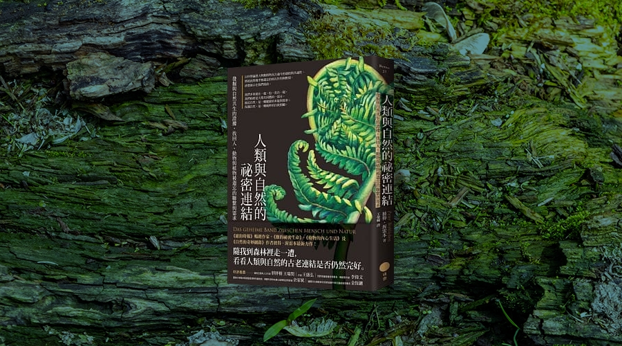 《人類與自然的祕密連結》中文版書封。