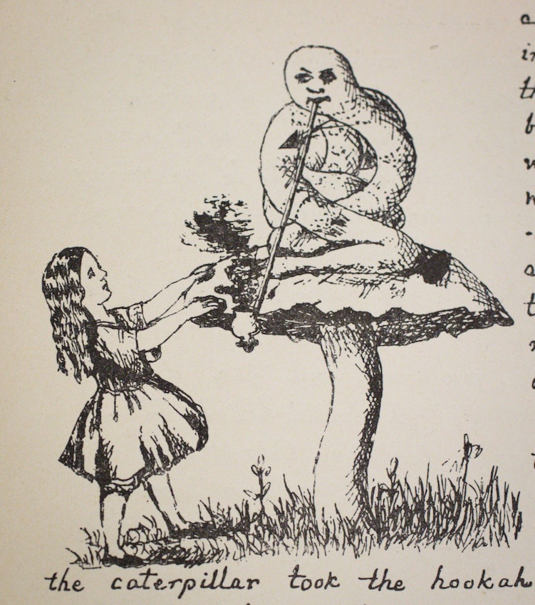 愛麗絲進到兔子洞，遇見了一隻坐在蘑菇上的毛毛蟲。