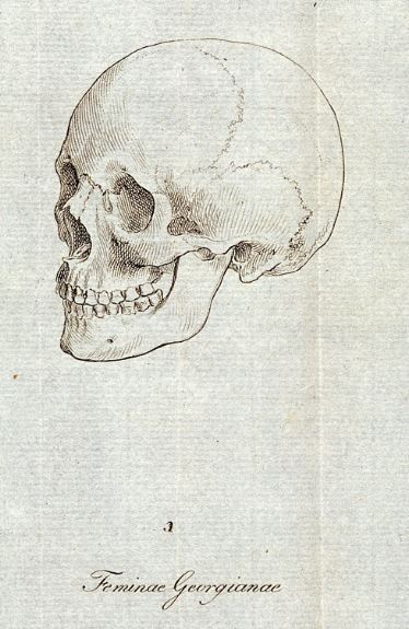 布魯門巴赫認為「超美、就是人類原型」的無名喬治亞女子頭顱。她是一名年輕女子，在俄土戰爭（1787-1792）中被俘，死於獄中。1793 年，她被解剖的頭骨被送到布盧門巴赫手上。