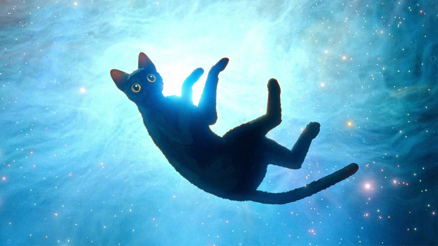 《喵的奇幻漂流》劇照。
